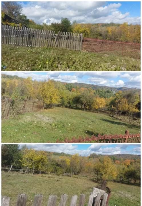 De vânzare 2 terenuri, com. Berevoiești, sat Ungureni, 3500mp, 8eur m2 – fotografia 3 din 8