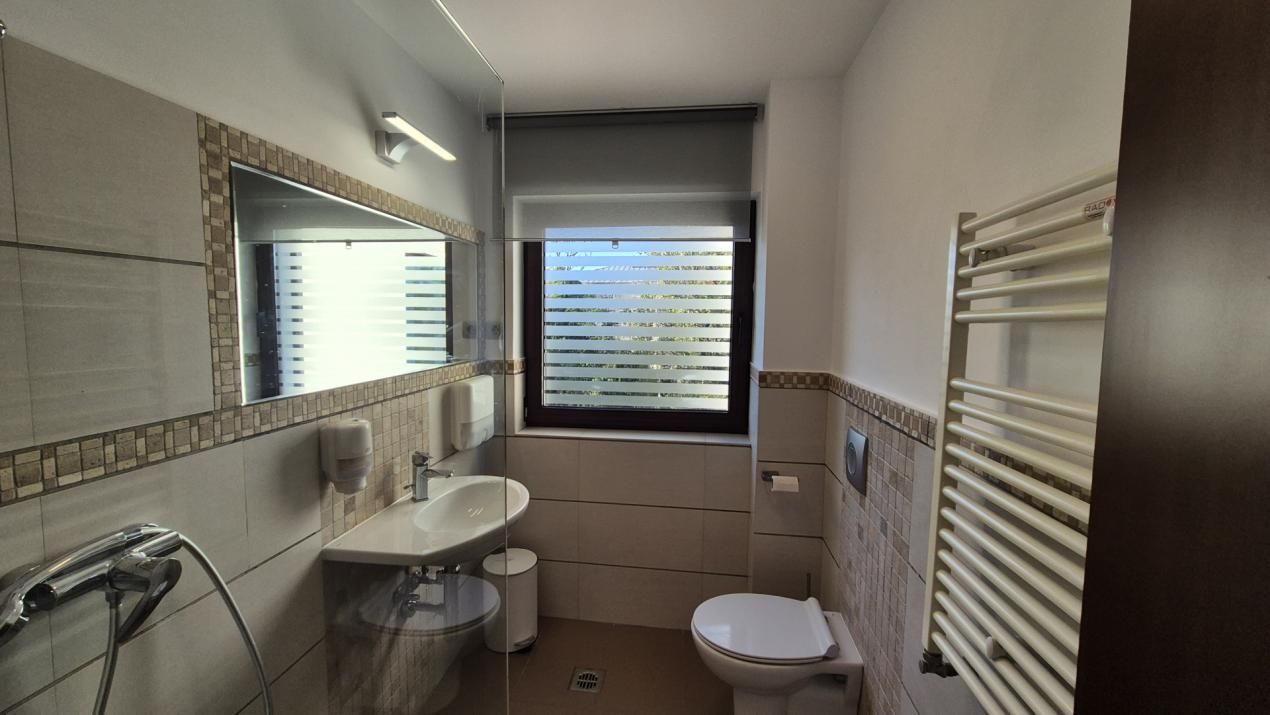 VILĂ DE ÎNCHIRIAT - ZONA VICTORIEI BUZEȘTI – fotografia 4 din 23