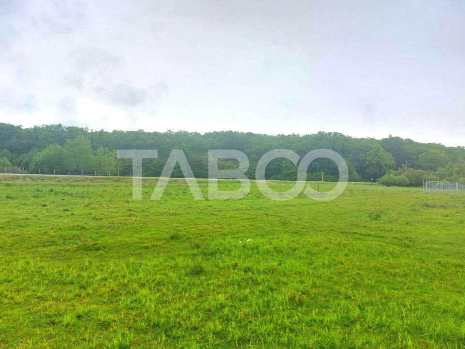 Teren intravilan 712 mp PUZ APROBAT 23 m front stradal Sibiu – fotografia 4 din 5
