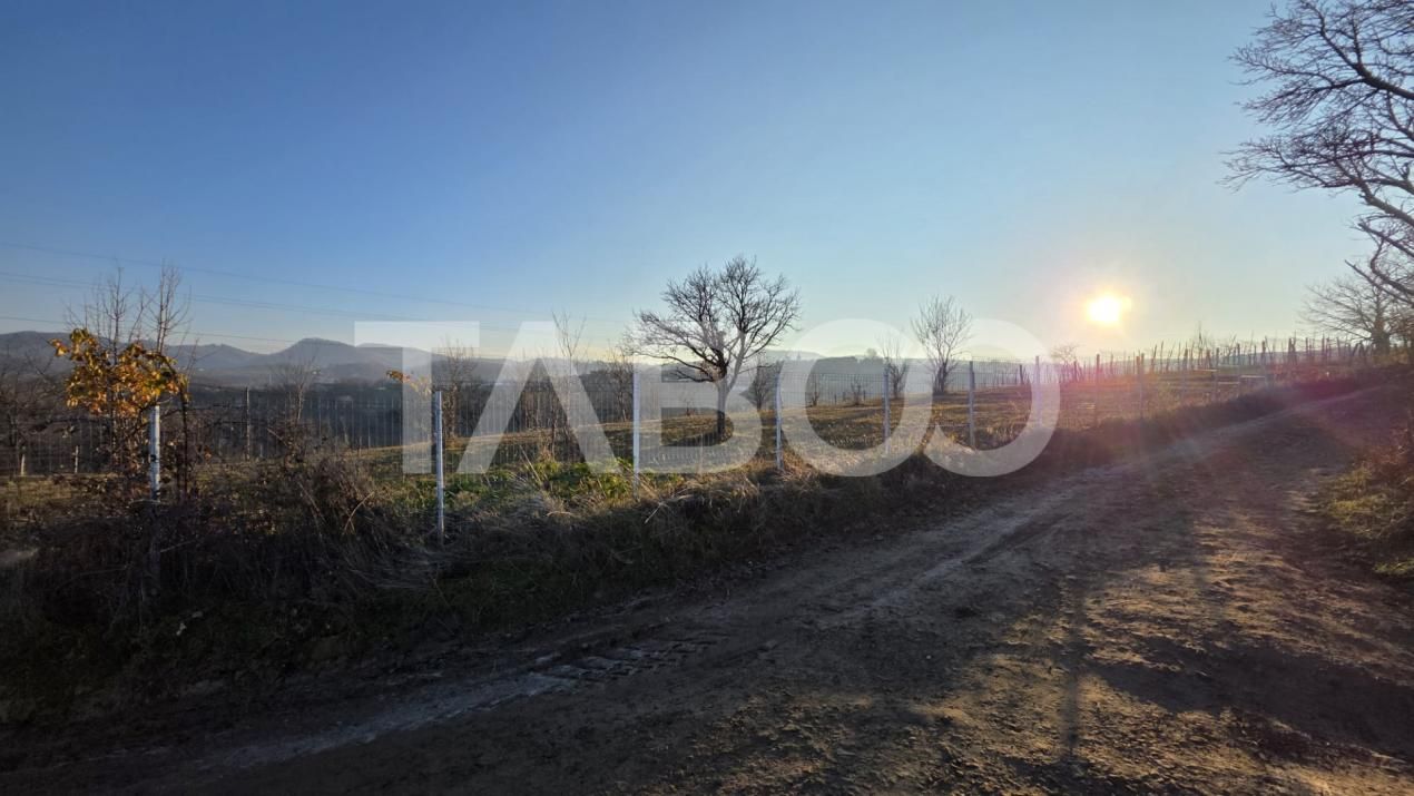 Teren 1974 mp intravilan de vanzare in Loman judetul Alba – fotografia 5 din 5