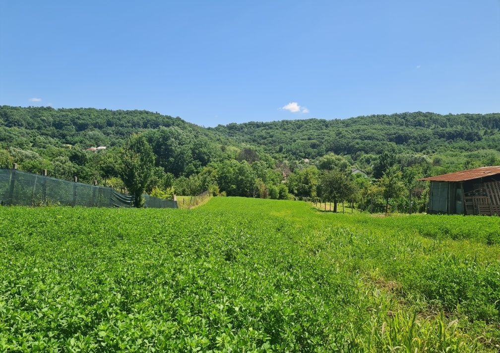 Oportunitate Unică în Călinești, Argeș – Teren Intravilan de Vânzare! – fotografia 2 din 3