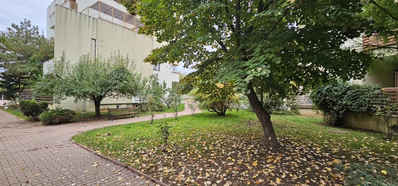Doi Cocosi - Straulesti - 3 camere cu parcare si boxa incluse – fotografia 35 din 51