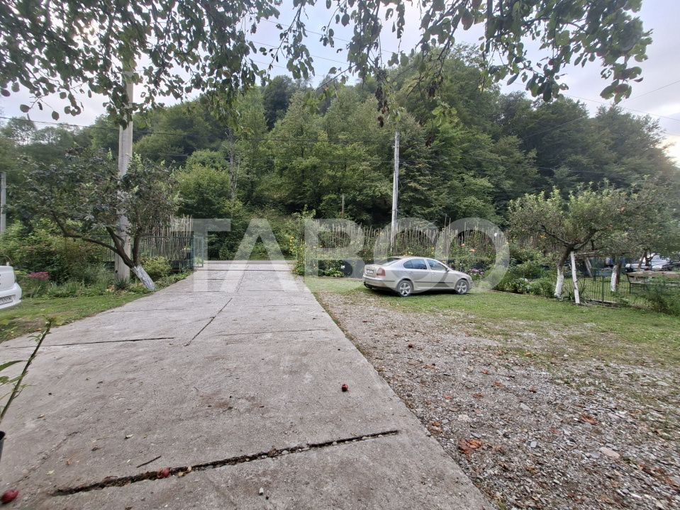 Spatiu de vanzare in Valea Macesului judel Valcea iesire la Lotru – fotografia 38 din 49
