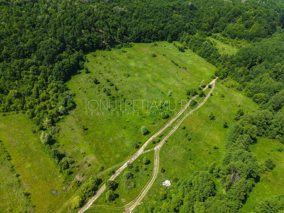 Teren Pasune + Arabil - Valea Mare Podgoria Arges – fotografia 17 din 29