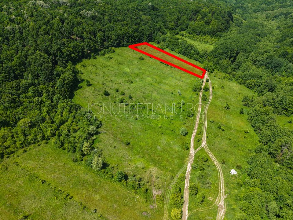 Teren Pasune + Arabil - Valea Mare Podgoria Arges – fotografia 4 din 29