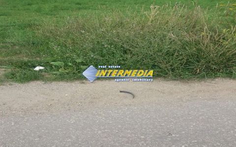Vanzare Teren Intravilan 1638 mp. in Alba Paclisa cu deschidere 15 m