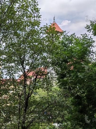 2 Camere de inchiriat | Victoriei | Metrou | PetFriendly – fotografia 6 din 7