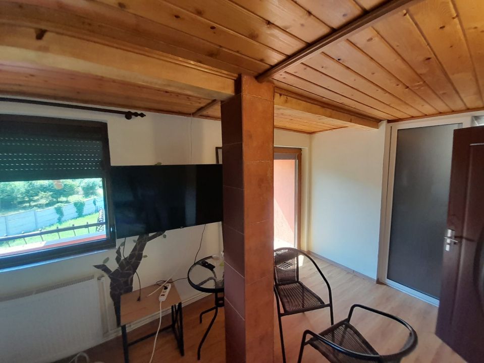 Casa individuala 4787mp teren,zona RUSU BARGAULUI – fotografia 21 din 32