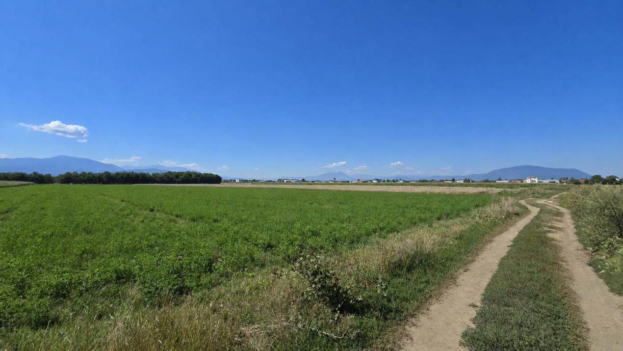 De vânzare teren intravilan 17.204 mp Stupini – zonă mixtă ZM, POT 40%, CUT 1,5 – fotografia 6 din 7