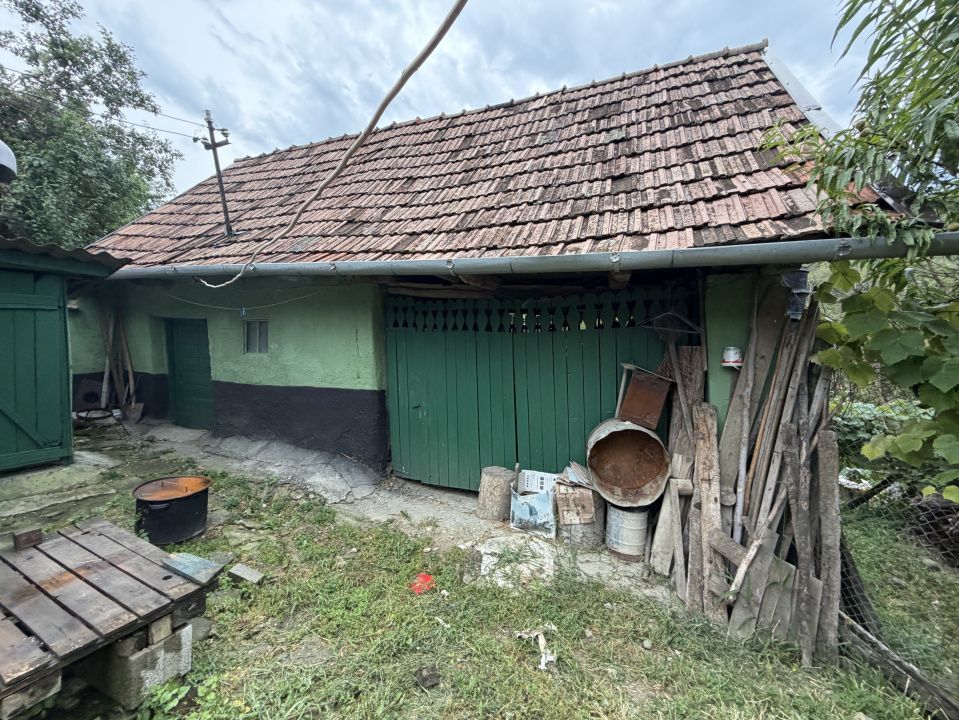 Casă în Cricău cu 1.375 mp teren, anexe, utilități, vie și livadă - Oportunitate – fotografia 16 din 54