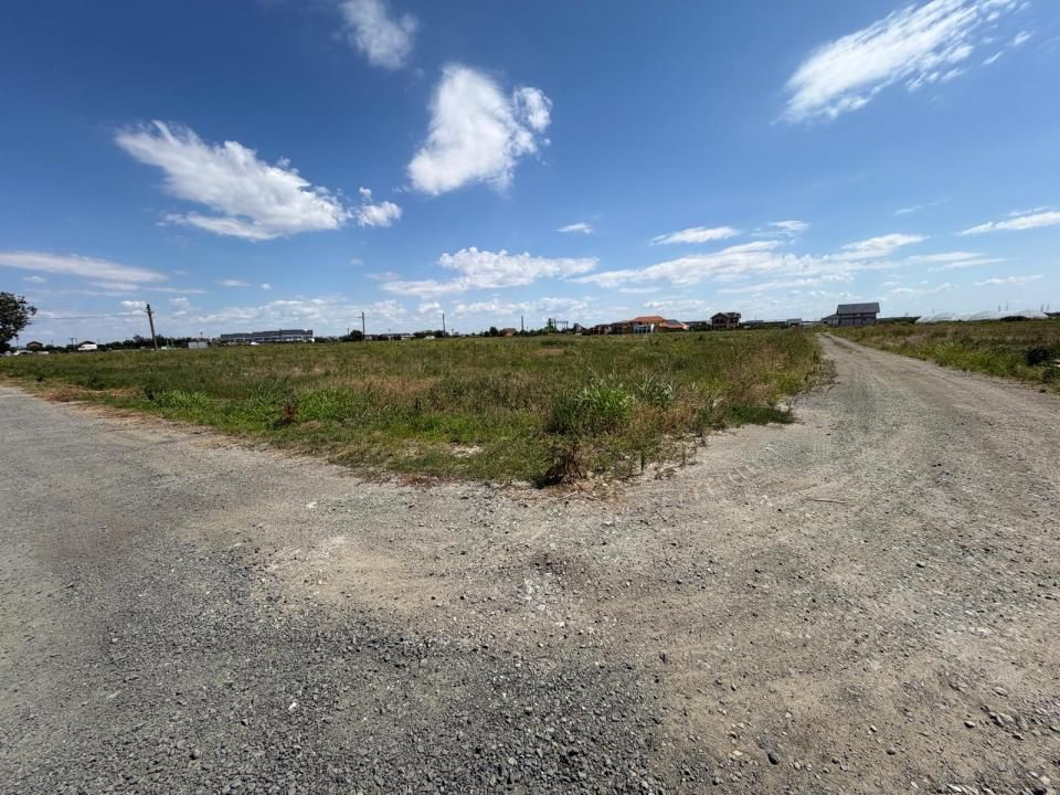 Terenuri in Sacalaz | Investitie | Spatiu comercial | Zona excelenta | – fotografia 2 din 4