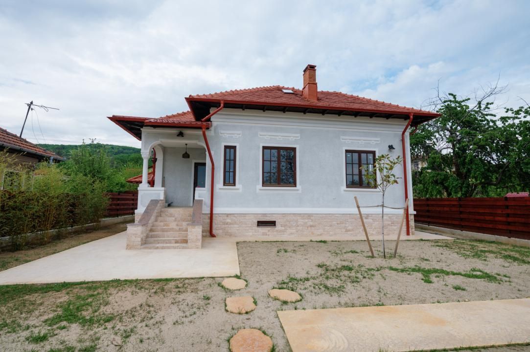 Proprietate exclusivistă în Ștefănești | Cartier Bratieni – fotografia 20 din 64