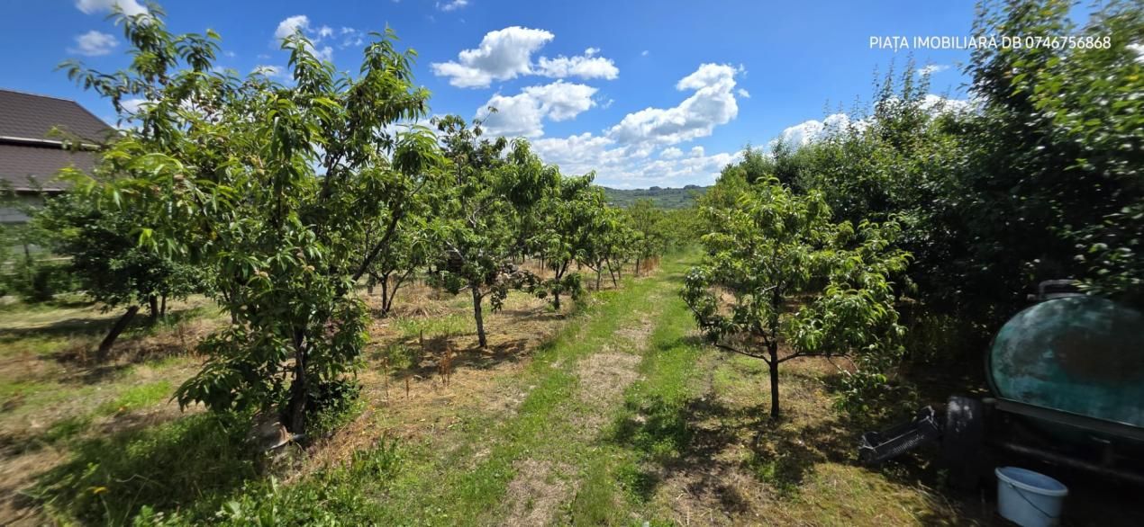 Casă individuală de vânzare, 6 camere, subsol 110 mp, teren 5.753 mp – Cândești – fotografia 12 din 16