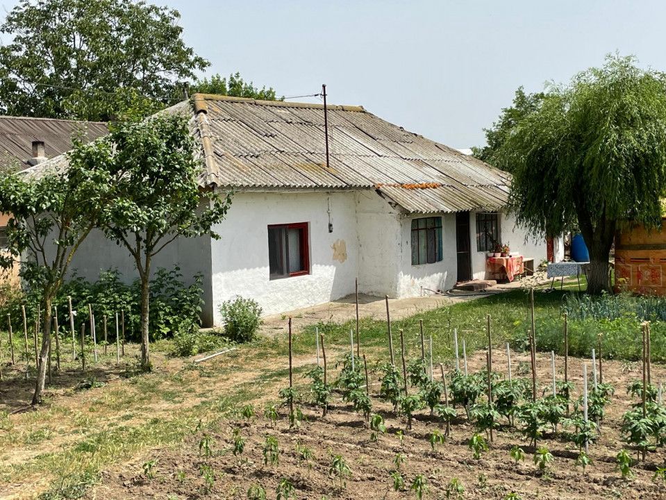 Teren intravilan 2.581 mp de vânzare în Mihail Kogălniceanu – deschidere 36,84ml – fotografia 2 din 14