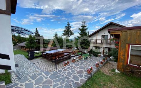 Pensiune de vanzare 10 camere 10 bai 343 mp utili Paltinis Sibiu