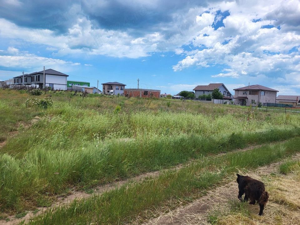 Teren de vanzare in Lazu – fotografia 6 din 12