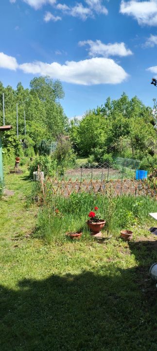 Teren intravilan Tocile, 1.093 mp / livadă, cabană, rulotă și o toamna frumoasă! – fotografia 21 din 37