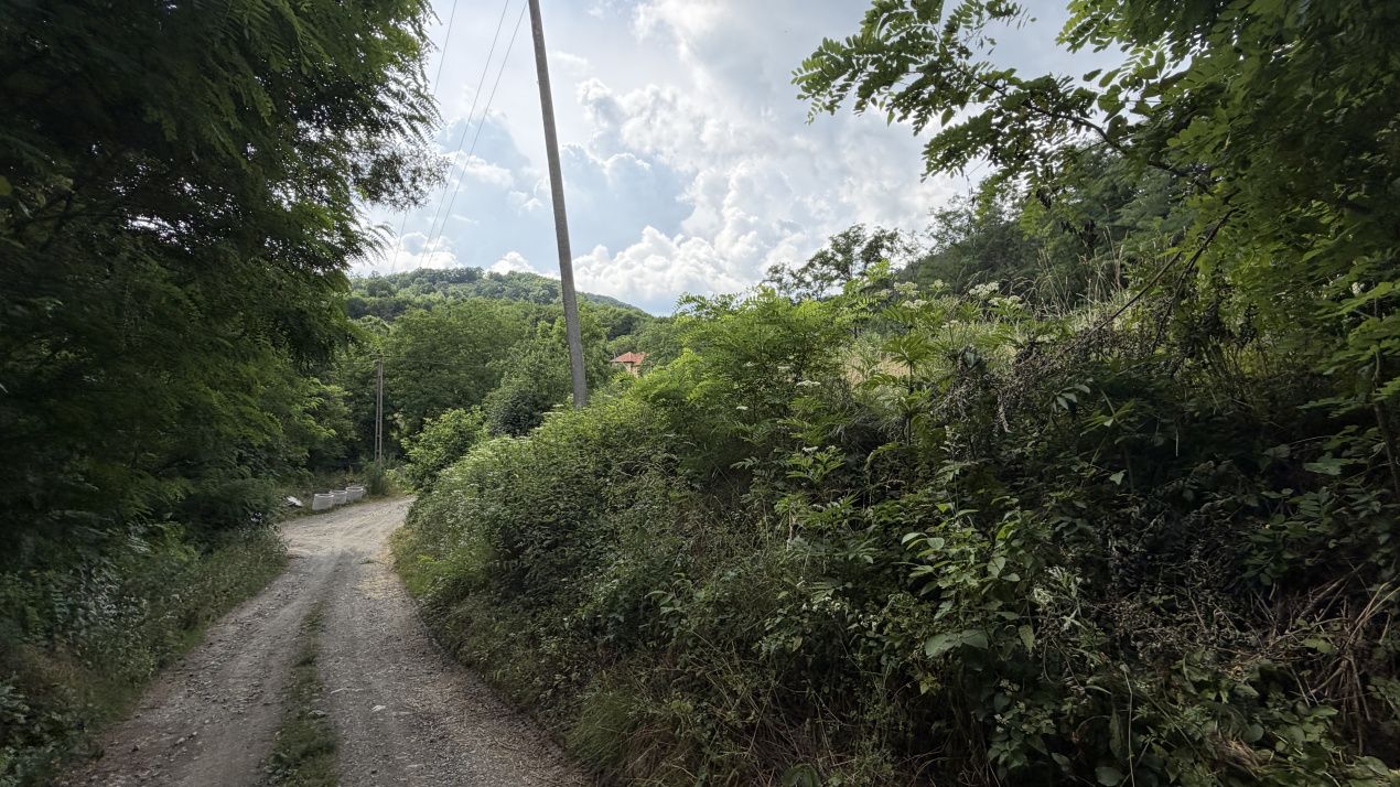 TEREN Intravilan 1257 mp Liziera Pădurii Meteș Platou Cabană la 15 km Alba Iulia – fotografia 6 din 11