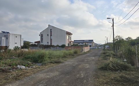 Teren de vanzare in Palazu Mare