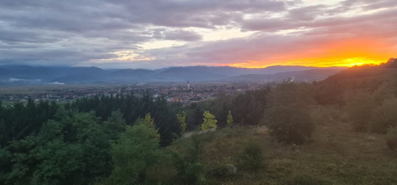Apartament 3 camere, două băi, curte 50 mp -Natura la tine acasă! Cristian-SiBiU – fotografia 19 din 30