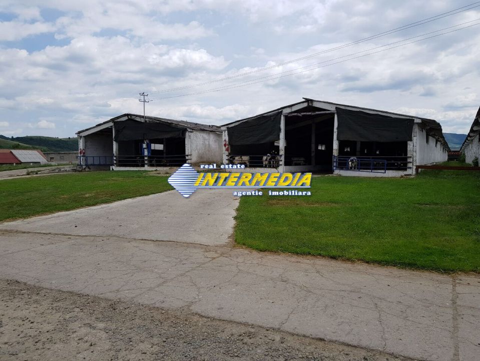 Ferma de vanzare in apropiere de Alba Iulia – fotografia 6 din 12