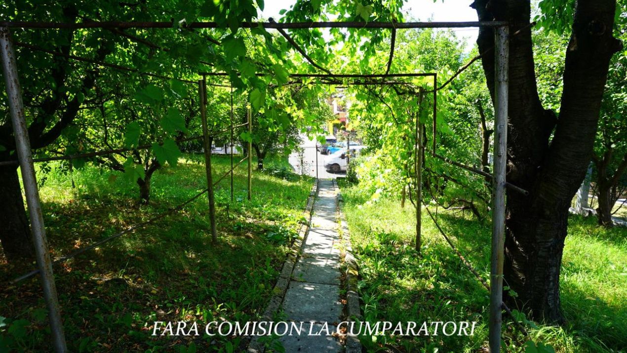 ANL- MORILOR TEREN 635 MP – fotografia 11 din 16