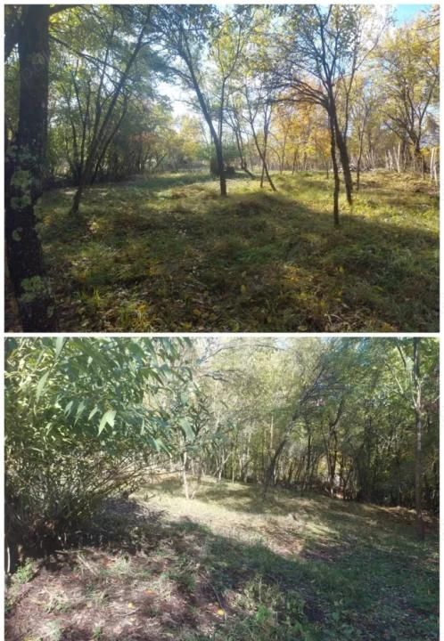 De vânzare 2 terenuri, com. Berevoiești, sat Ungureni, 3500mp, 8eur m2 – fotografia 5 din 8