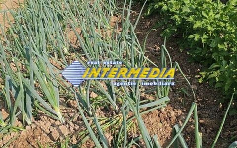 Teren intravilan 1000 mp in Ampoita cu apa si curent in fata