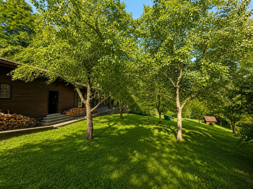Mountain Chalet | Private Resort | Investment - Nistoresti – fotografia 3 din 25