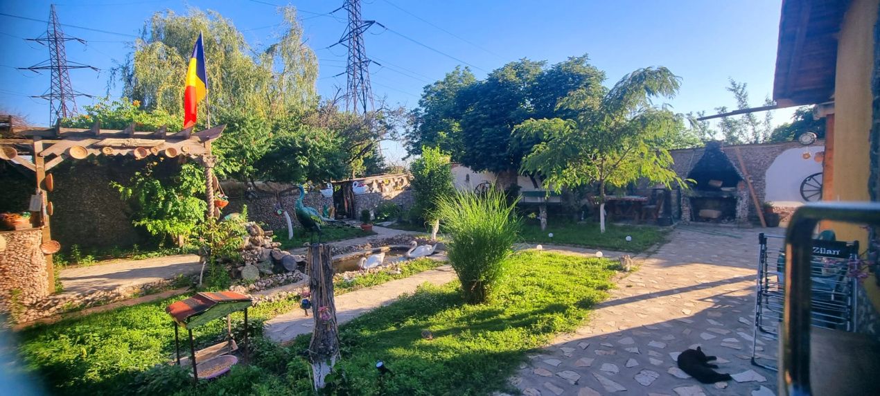 Casă parter cu teren de 1400 mp în Bariera Vâlcii aproape de drumul expres – fotografia 3 din 24