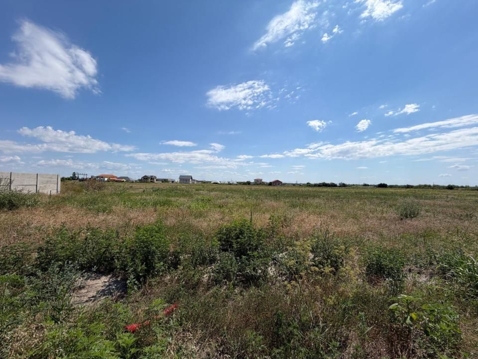 Terenuri in Sacalaz | Investitie | Spatiu comercial | Zona excelenta | – fotografia 3 din 4