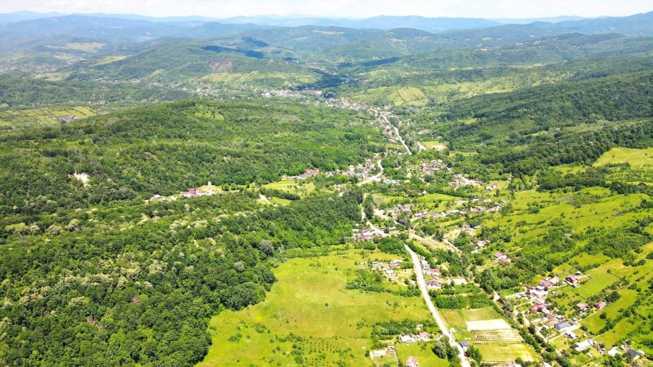 Vanzare  Casa-vila cu teren generos si padure  Surani Prahova – fotografia 33 din 34