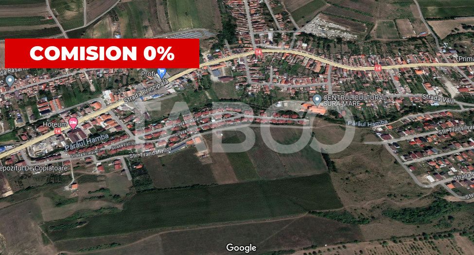 Oportunitate investitie teren 10000 mp Sura Mare – fotografia 1 din 2