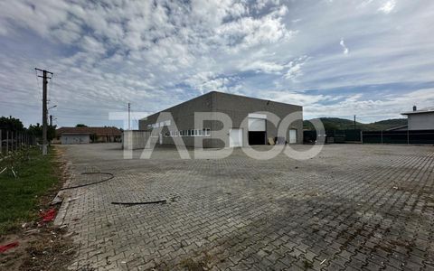 Hala industriala de inchiriat cu acces tir curte privata Selimbar