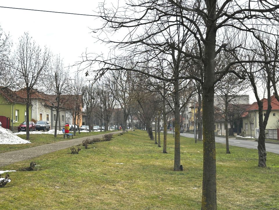 Casa 4 Camere pe Parter 441 mp Teren Alba Iulia Ultracentral CENTRU Turistic – fotografia 27 din 49