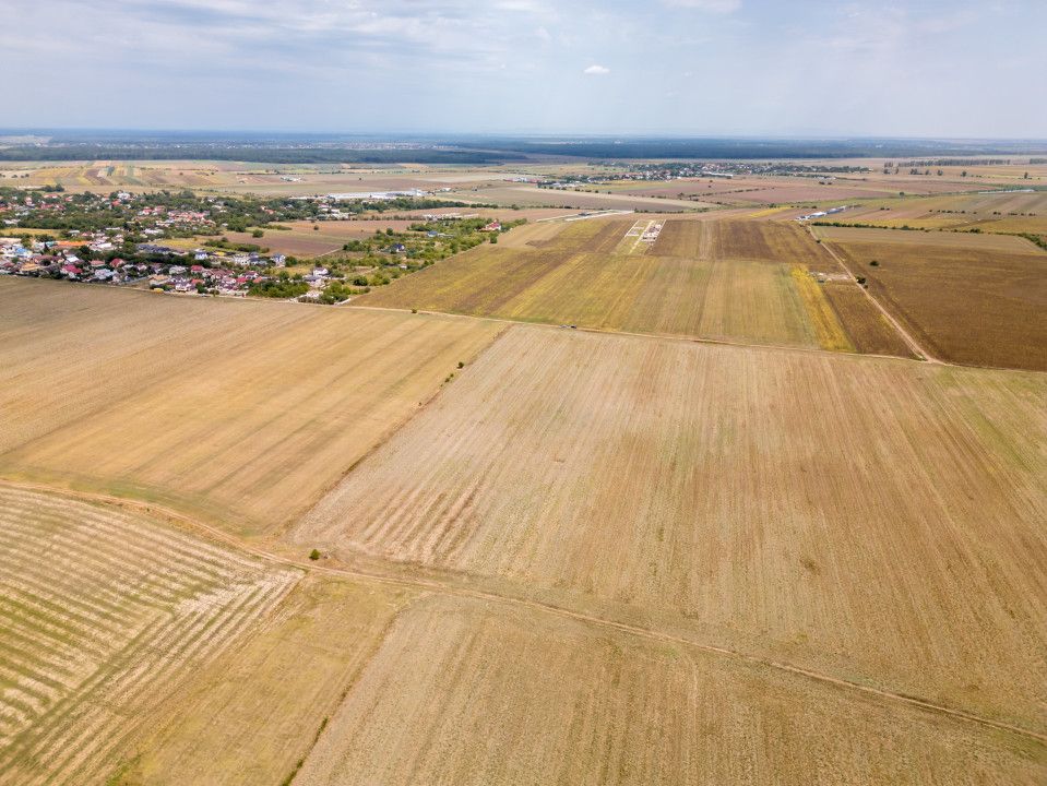 DASCALU - TEREN INTRAVILAN 7500 MP, INVESTITIE! – fotografia 14 din 17