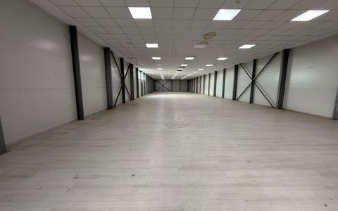 Hala + Birouri, 1580 mp, Zona Industriala Aeroport, Pielesti