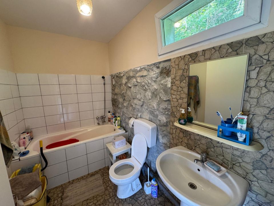 Ofertă de vânzare casă cu 5 camere + teren 4500 mp., Ocoliș – fotografia 9 din 12