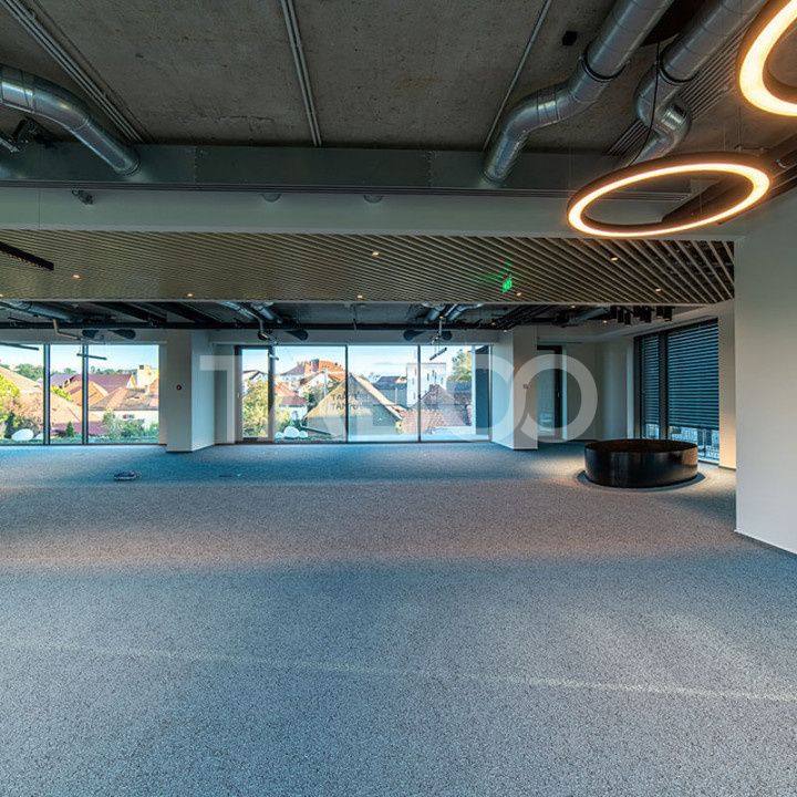 Birouri premium in Sibiu–Spatii flexibile moderne pentru companii – fotografia 14 din 17