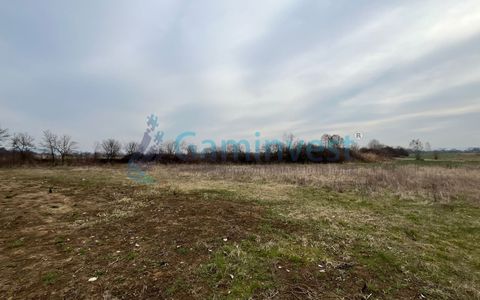 Teren intravilan 5700 mp de vanzare Osorhei, zona Podgoria