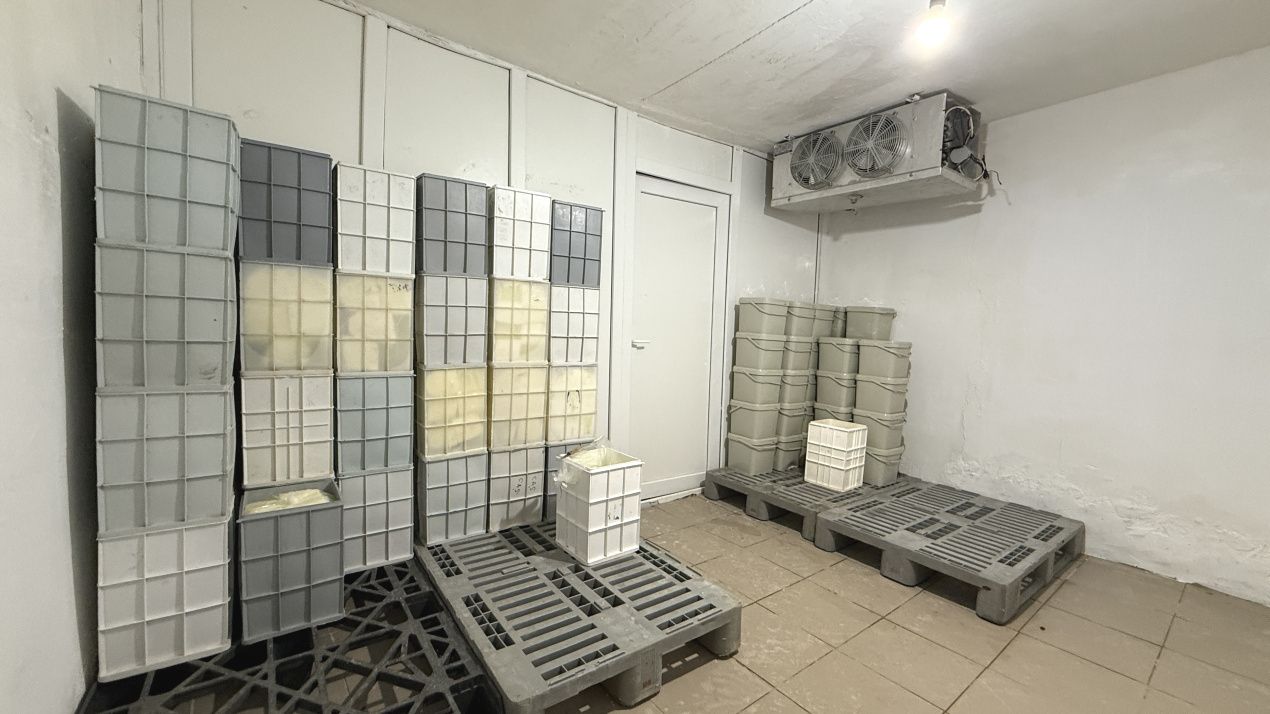 Făbrică de producție brânzeturi, Business funcțional, 25 de ani activitate – fotografia 11 din 16