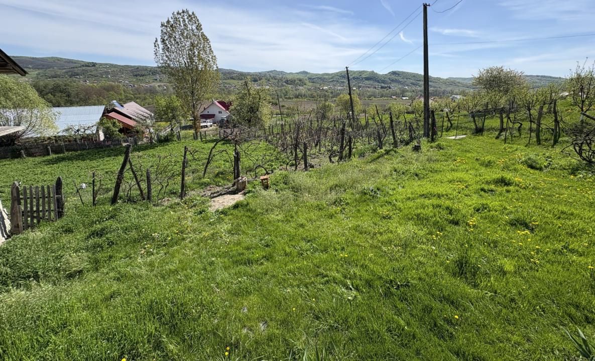 14.613 mp teren | Casă la roșu și 2 case tradiționale | 1,5 km de A1 Tigveni – fotografia 10 din 10