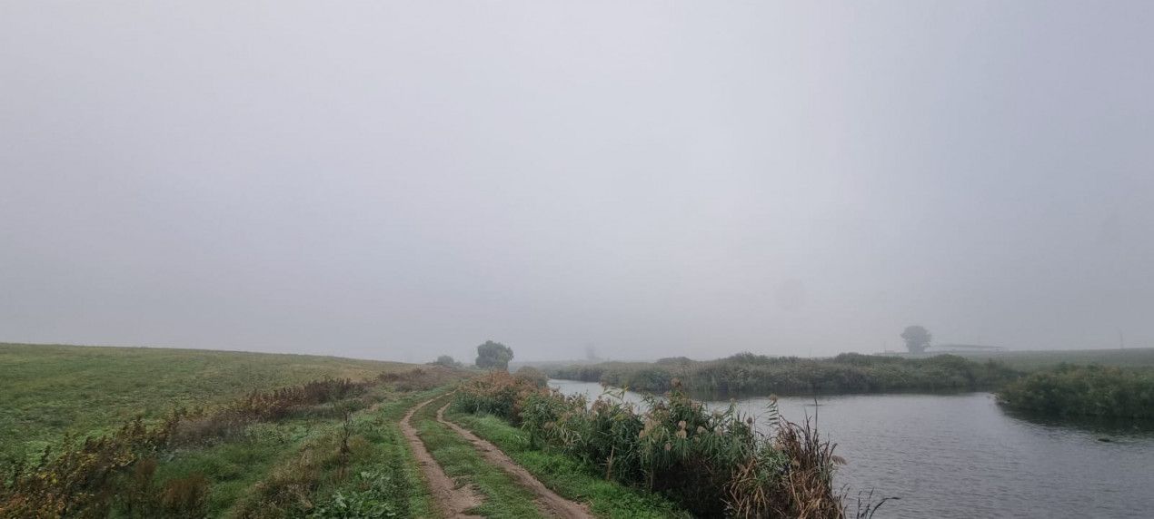 Creata  -  Dascalu teren de vânzare - 7567 mp cu dublu acces lângă lac – fotografia 9 din 11