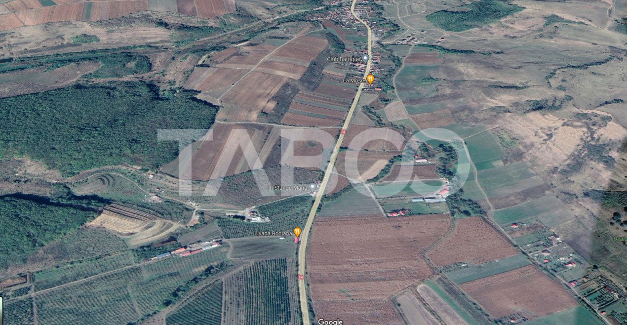 Teren extravilan de 4991 mp la strada principala in Sura Mare – fotografia 1 din 3