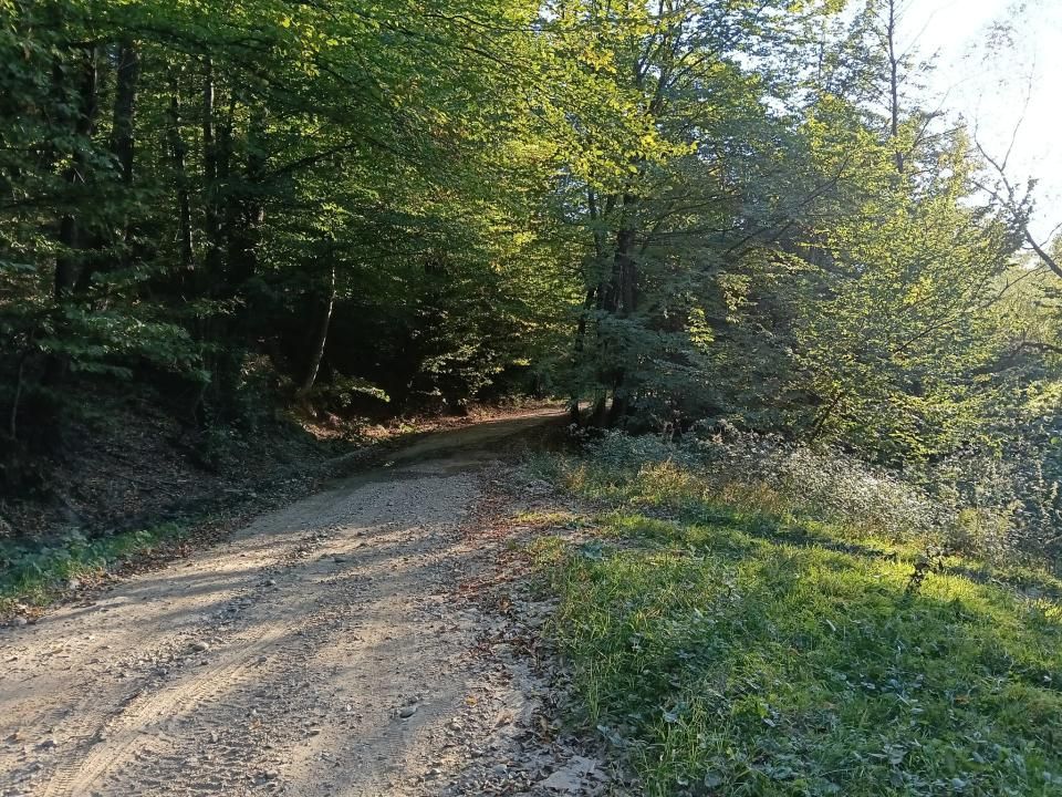 TERENUL PE CARE NU-L CAUȚI… DAR CÂND ÎL VEZI, ÎL VREI! – fotografia 6 din 12