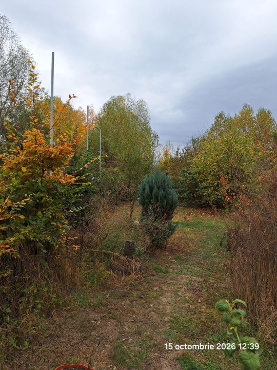 Teren intravilan Tocile, 1.093 mp / livadă, cabană, rulotă și o toamna frumoasă! – fotografia 4 din 37