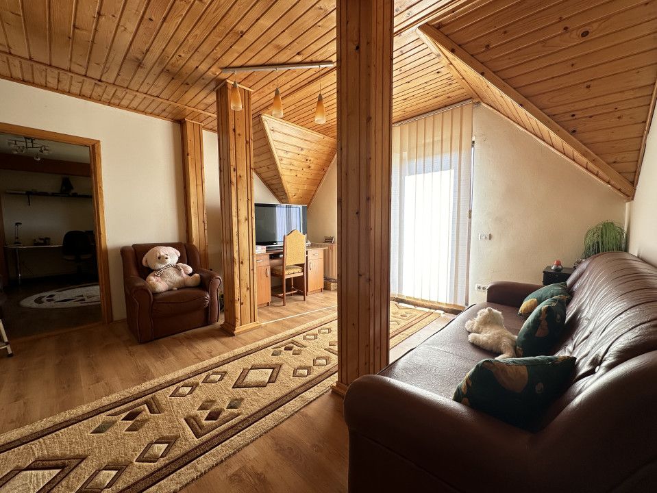 Casa individuală cu 9 camere, 1600 mp teren, 300 mp utili - Sanandrei – fotografia 8 din 18