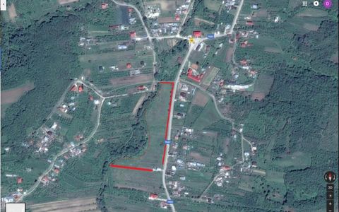 Teren intravilan 21.000 mp de vânzare – Suseni, Comuna Bogați, Județul Argeș