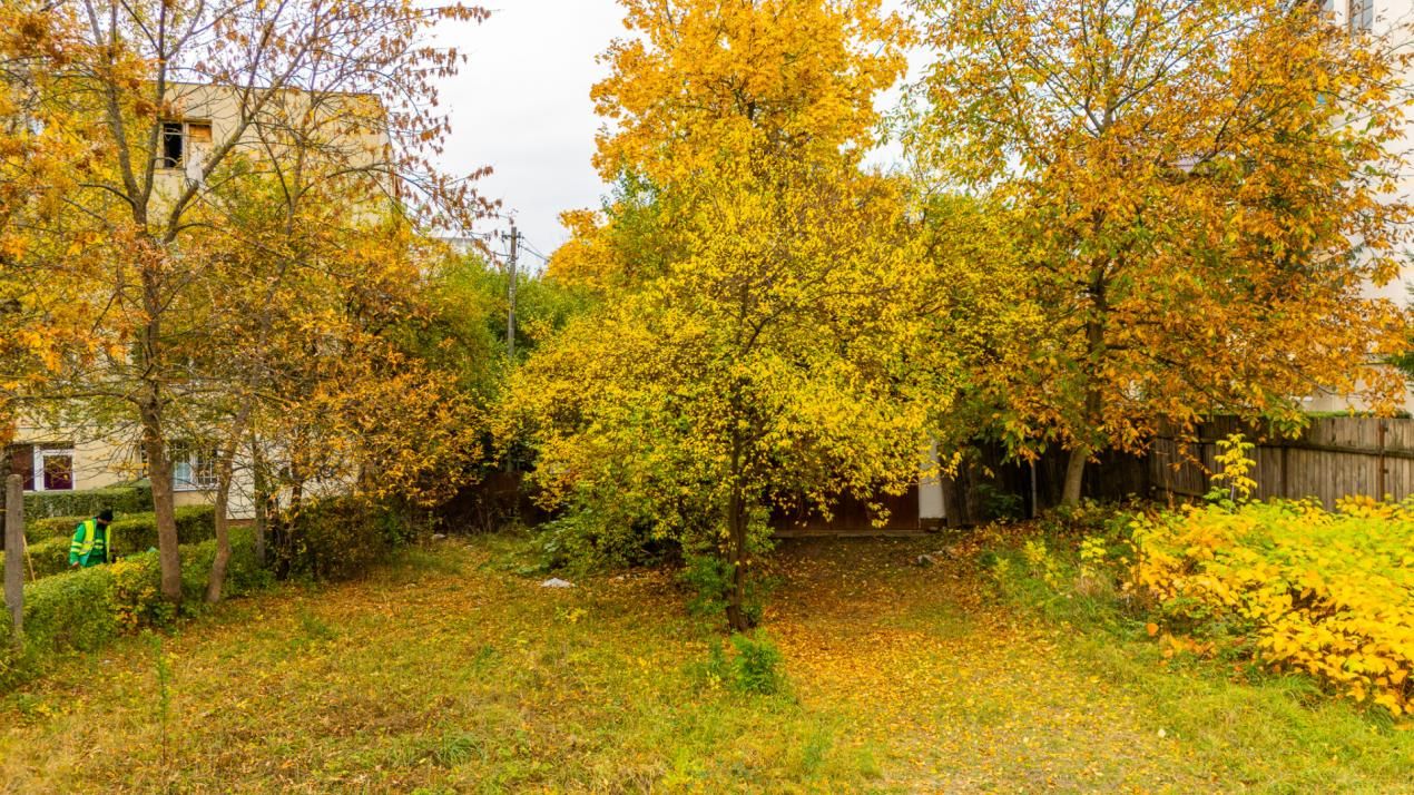 Casă cu teren de 500 mp, zona Noua – fotografia 26 din 27