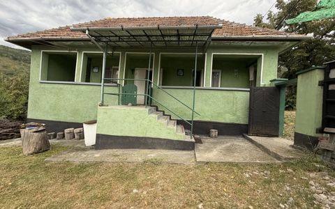 Casă în Cricău cu 1.375 mp teren, anexe, utilități, vie și livadă - Oportunitate